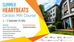 Summer Heartbeats Cardiac MRI Course