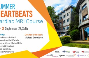 Summer Heartbeats Cardiac MRI Course